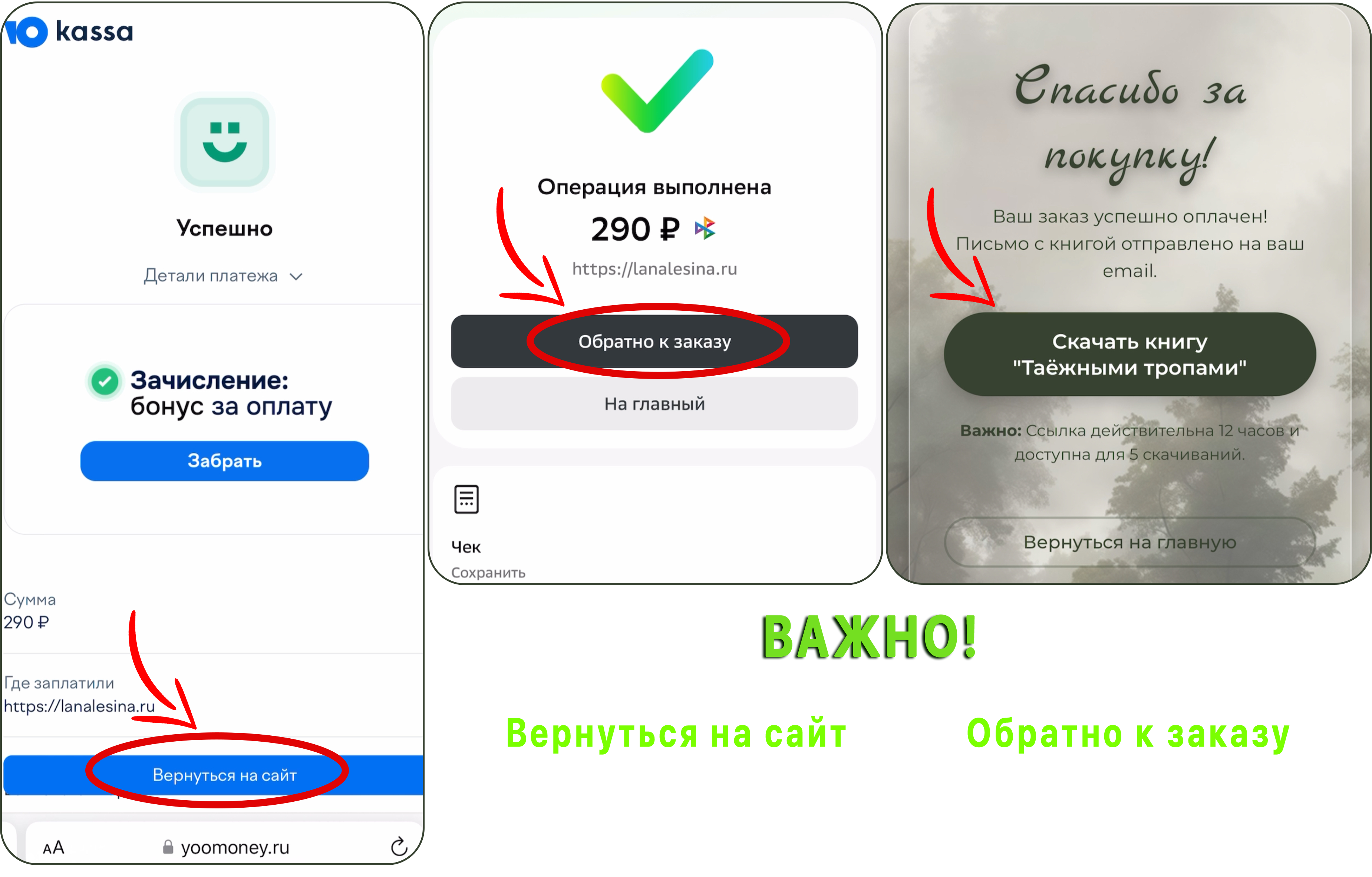 Инструкция по оплате